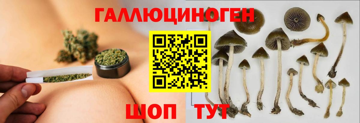 Галлюциногенные грибы Cubensis  Псилоцибиновые грибы Magic Shrooms  Екатеринбург  Вход с VPN 